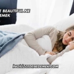 İngilizcede Beautiful Ne Demek