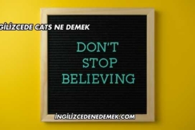 İngilizcede Cats Ne Demek