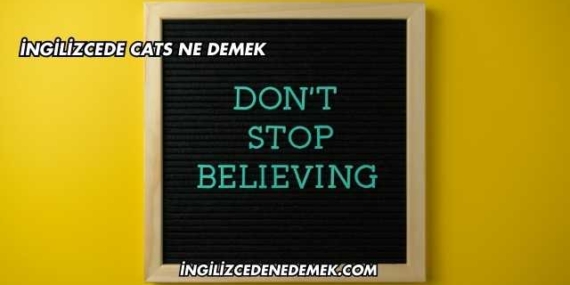 İngilizcede Cats Ne Demek