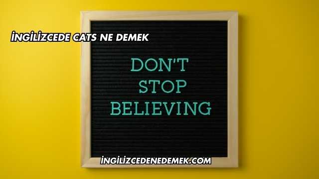 İngilizcede Cats Ne Demek
