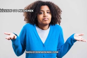 İngilizcede Go Ne Demek