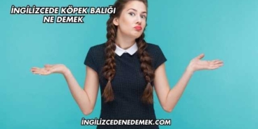 İngilizcede Köpek Balığı Ne Demek