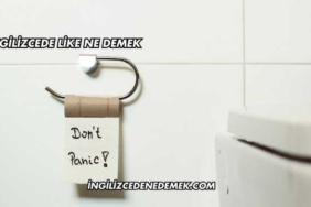 İngilizcede Like Ne Demek