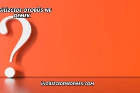İngilizcede Otobüs Ne Demek