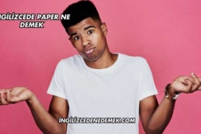 İngilizcede Paper Ne Demek