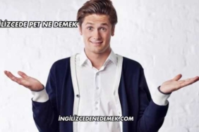 İngilizcede Pet Ne Demek