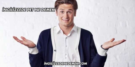 İngilizcede Pet Ne Demek