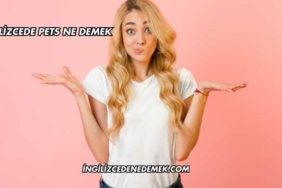İngilizcede Pets Ne Demek
