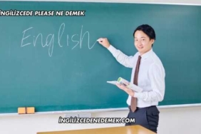 İngilizcede Please Ne Demek