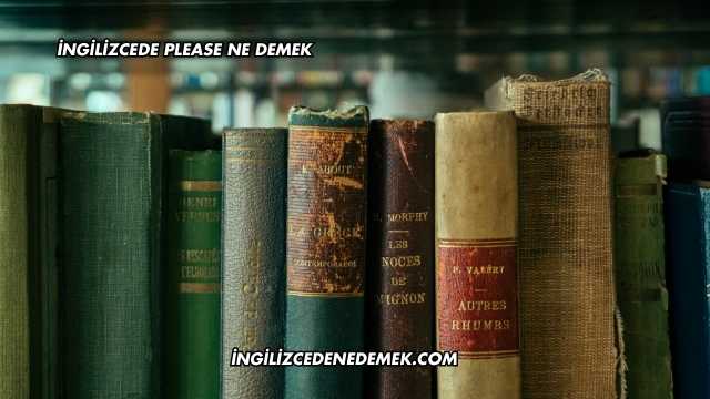 İngilizcede Please Ne Demek