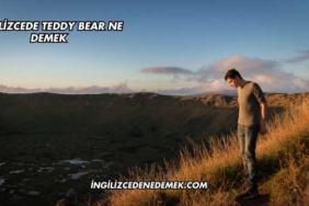 İngilizcede Teddy Bear Ne Demek