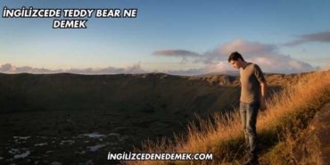 İngilizcede Teddy Bear Ne Demek