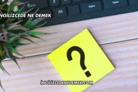 It İngilizcede Ne Demek