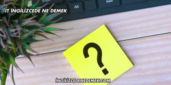 It İngilizcede Ne Demek