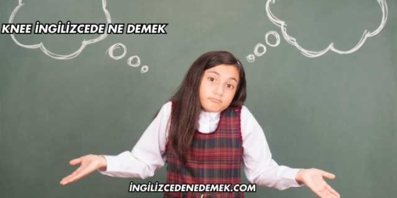 Knee İngilizcede Ne Demek