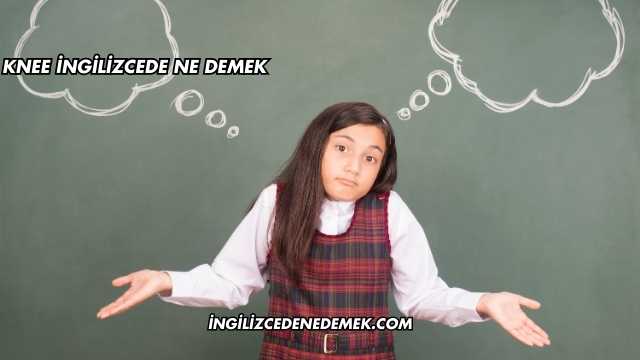 Knee İngilizcede Ne Demek