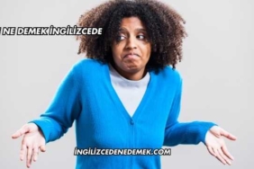 Knee Ne Demek İngilizcede