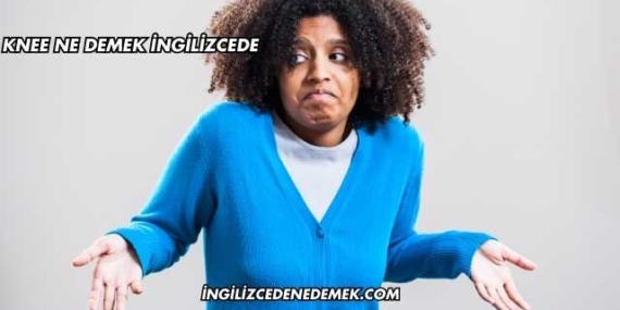 Knee Ne Demek İngilizcede