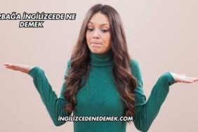 Kurbağa İngilizcede Ne Demek