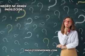 Negro Ne Demek İngilizcede