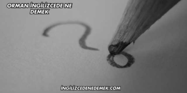 Orman İngilizcede Ne Demek