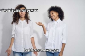 PIC İngilizcede Ne Demek