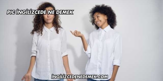 PIC İngilizcede Ne Demek