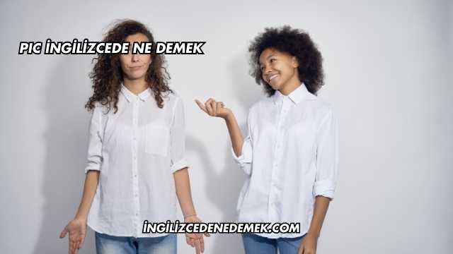 PIC İngilizcede Ne Demek