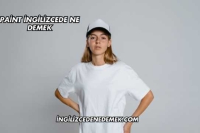 Paint İngilizcede Ne Demek