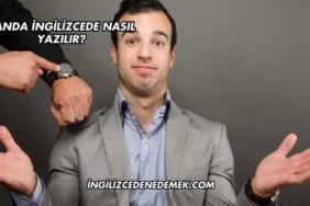 Panda İngilizcede Nasıl Yazılır?