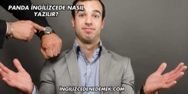 Panda İngilizcede Nasıl Yazılır?