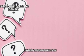 Plate İngilizcede Ne Demek