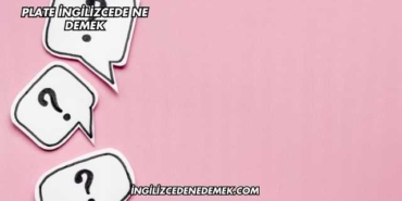 Plate İngilizcede Ne Demek