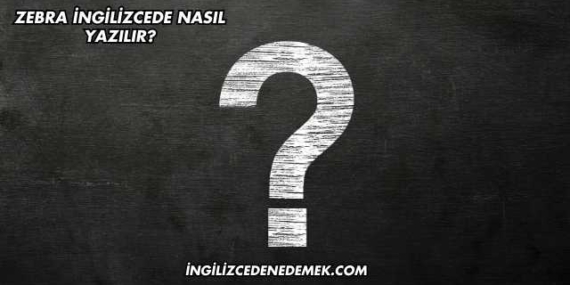 Zebra İngilizcede Nasıl Yazılır?