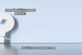 Ears İngilizcede Ne Demek?