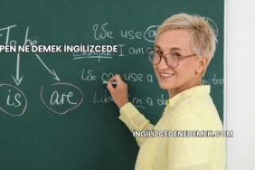 Pen Ne Demek İngilizcede