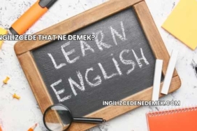 İngilizcede That Ne Demek?
