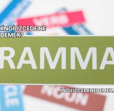 Koltuk İngilizcede Ne Demek?