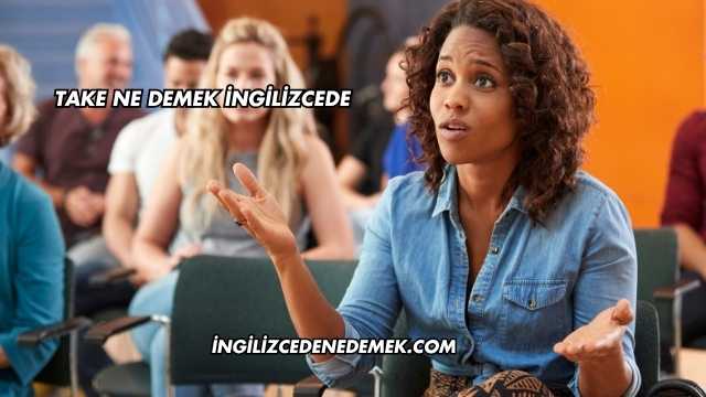 Take Ne Demek İngilizcede