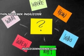 Thin Ne Demek İngilizcede