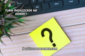 Turn İngilizcede Ne Demek?