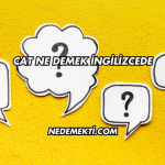 Cat Ne Demek İngilizcede