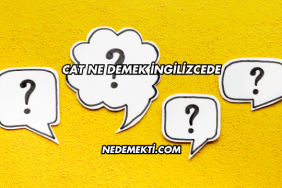 Cat Ne Demek İngilizcede