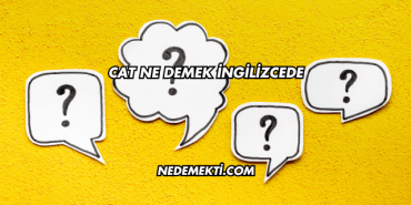 Cat Ne Demek İngilizcede
