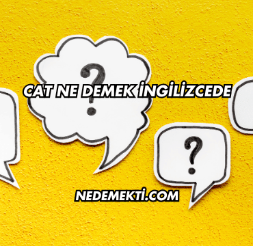 Cat Ne Demek İngilizcede