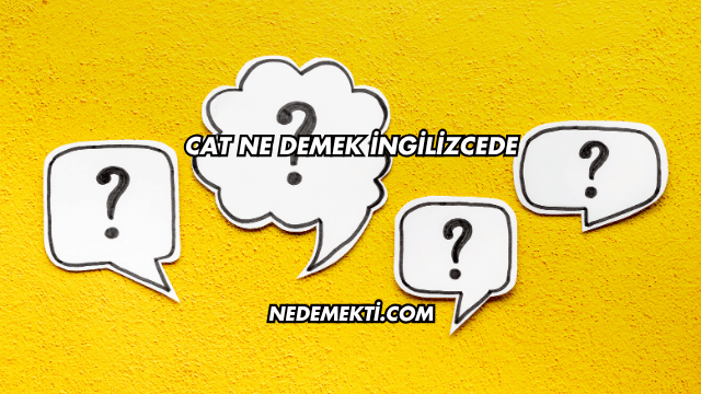 Cat Ne Demek İngilizcede