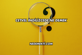 Cetvel İngilizcede Ne Demek
