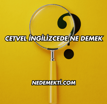 Cetvel İngilizcede Ne Demek