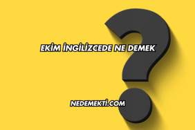 Ekim İngilizcede Ne Demek