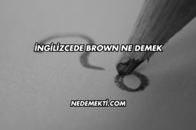 İngilizcede Brown Ne Demek